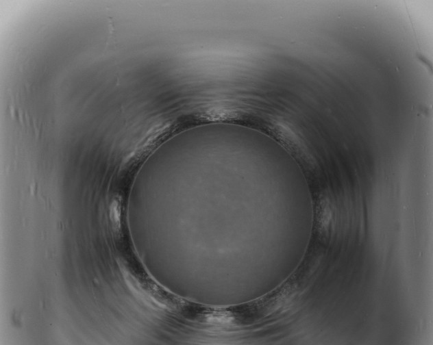 X0000103250214200809041116
