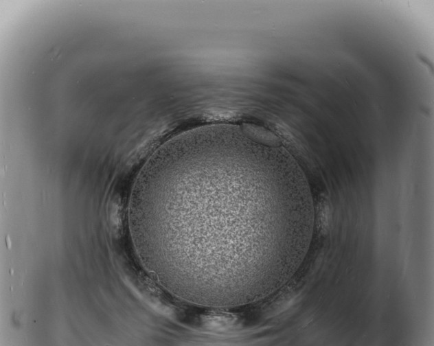 X0000103250215200809041116