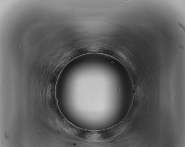 X0000103250217200809041116