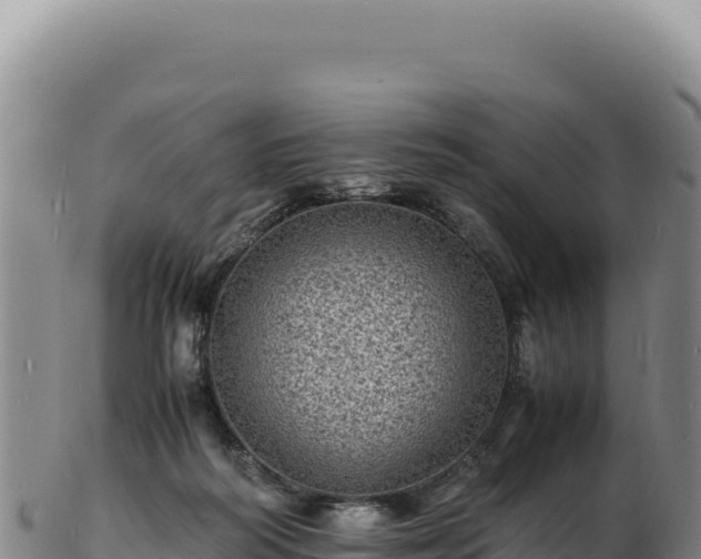 X0000103250218200809041116