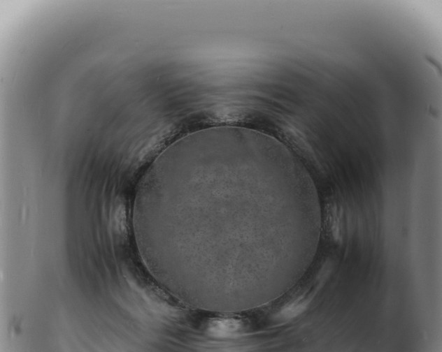 X0000103250220200809041116