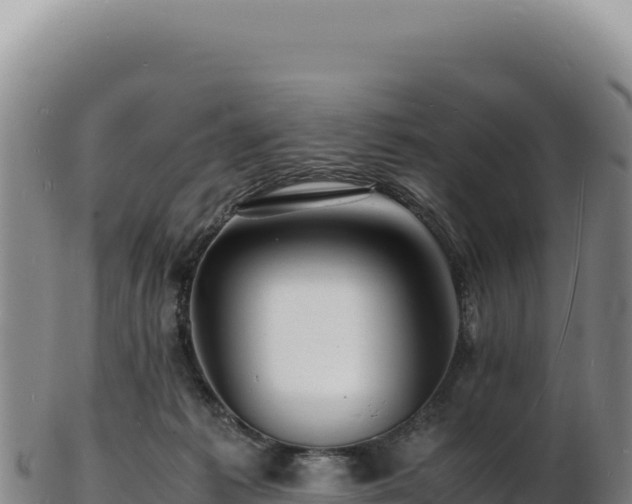 X0000103250221200809041116