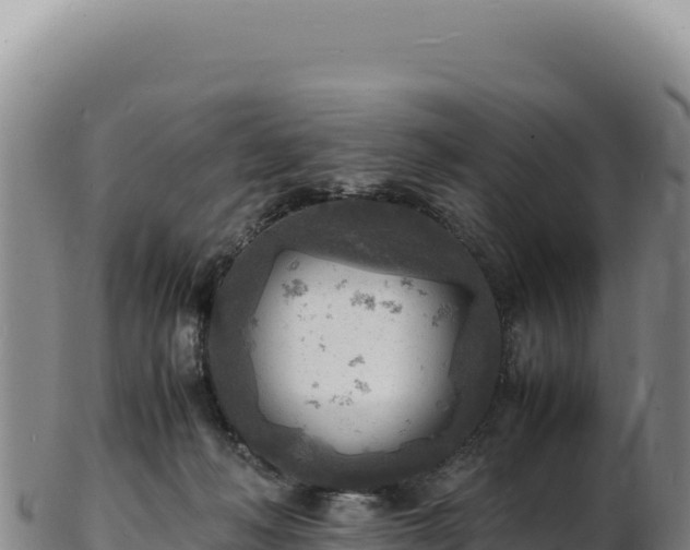 X0000103250222200809041116