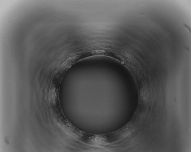 X0000103250223200809041116