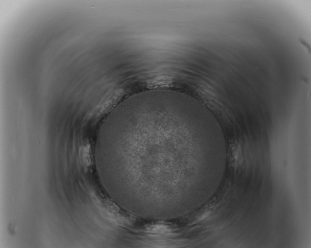 X0000103250224200809041116