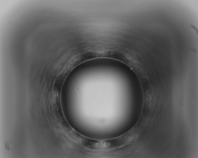 X0000103250225200809041116