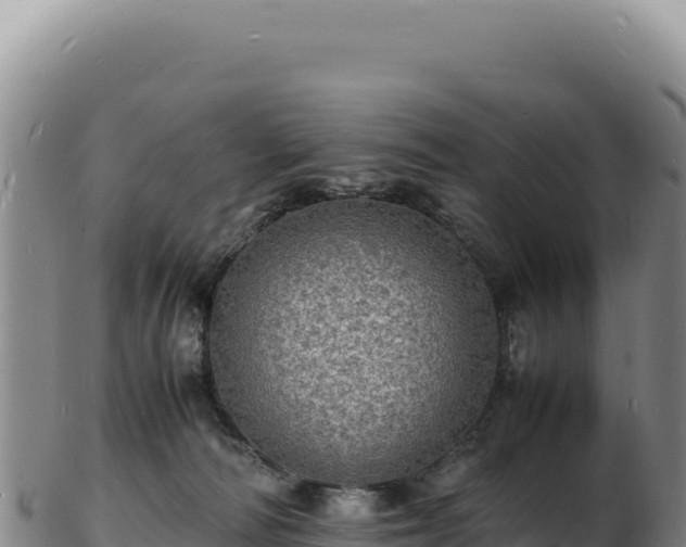 X0000103250226200809041116