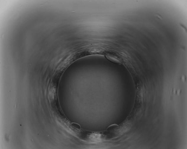 X0000103250227200809041116