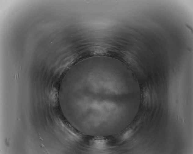 X0000103250228200809041116