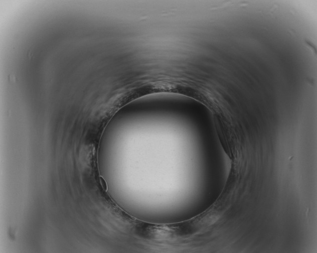 X0000103250229200809041116