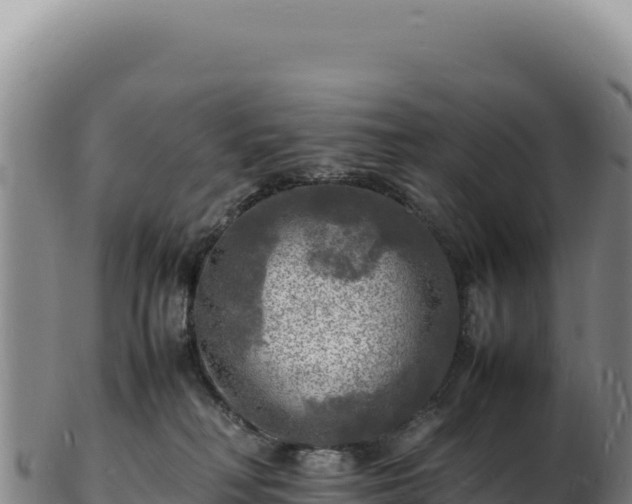 X0000103250230200809041116