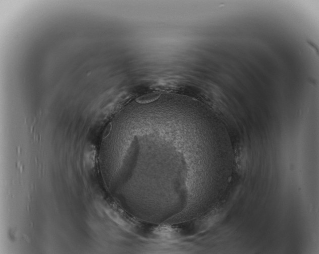 X0000103250231200809041116