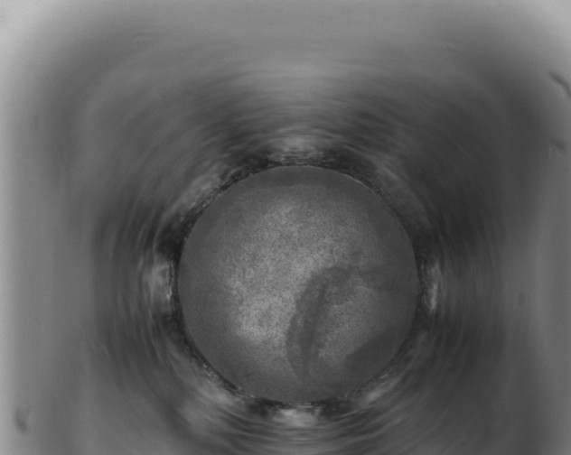 X0000103250232200809041116