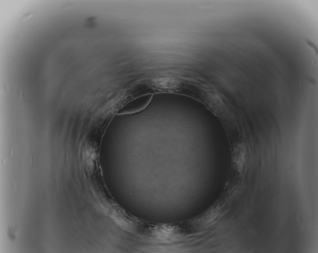 X0000103250235200809041116