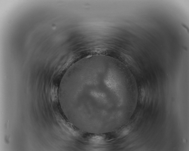 X0000103250236200809041116