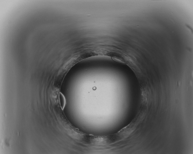 X0000103250237200809041116