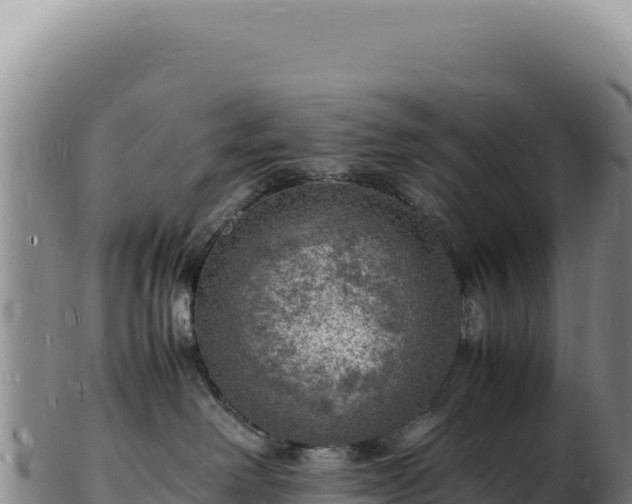X0000103250238200809041116