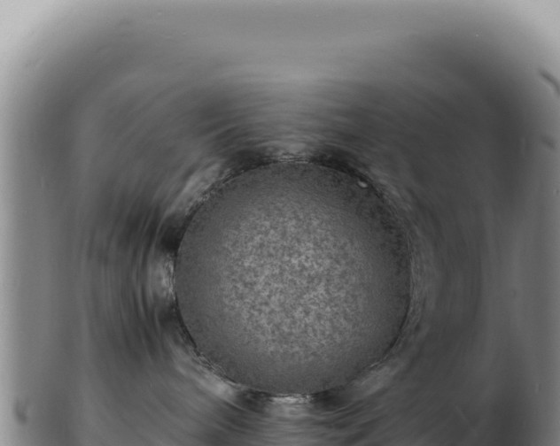 X0000103250240200809041116