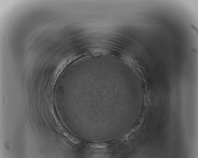 X0000103250241200809041115
