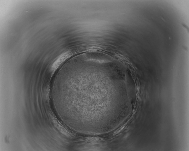 X0000103250242200809041115