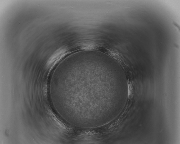 X0000103250243200809041115