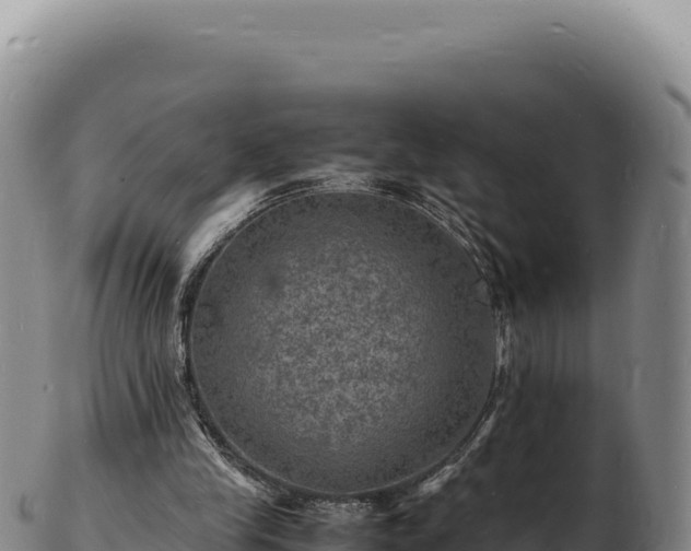 X0000103250245200809041115