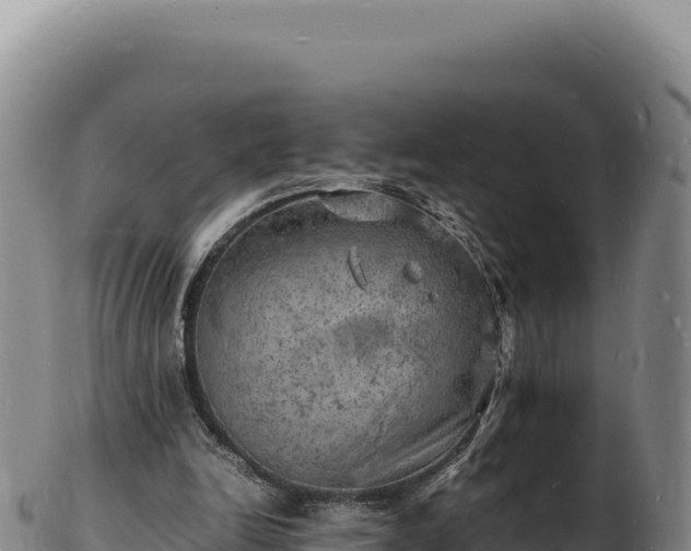X0000103250246200809041115