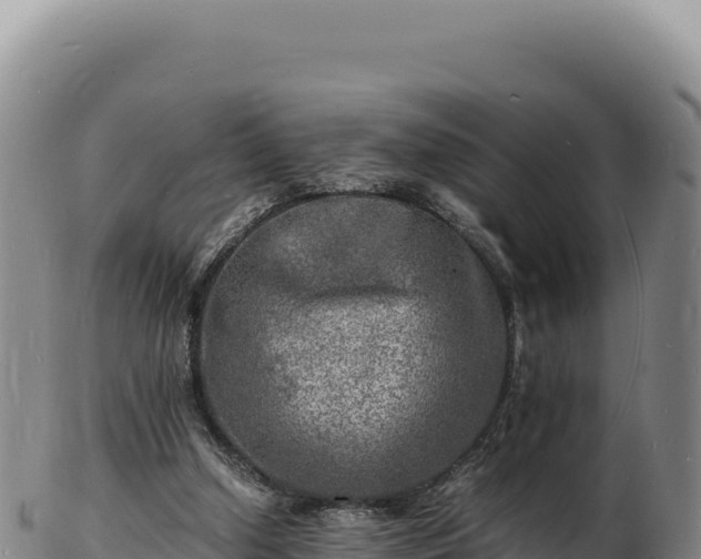 X0000103250250200809041115