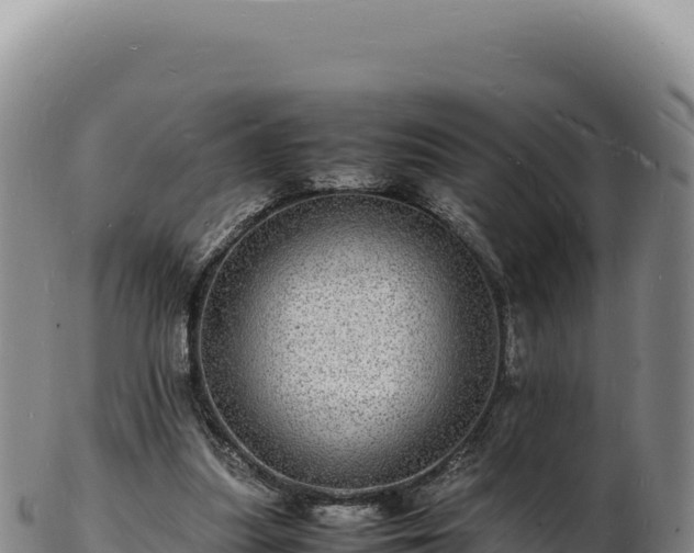 X0000103250251200809041115