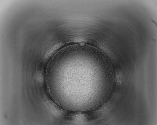 X0000103250256200809041115