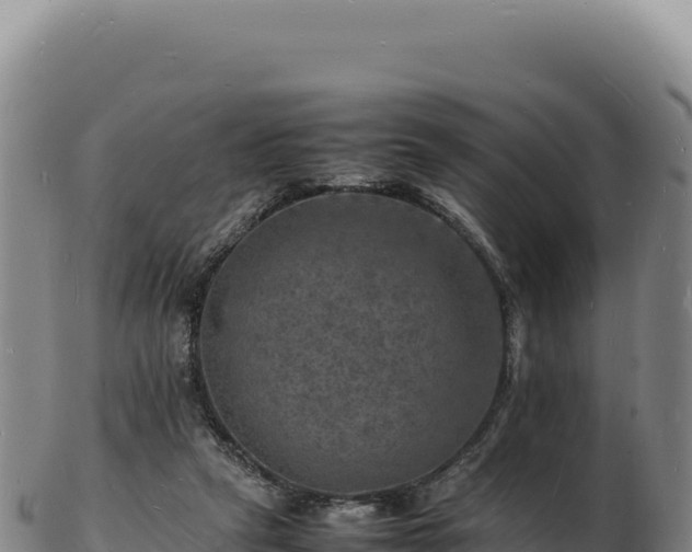 X0000103250257200809041115