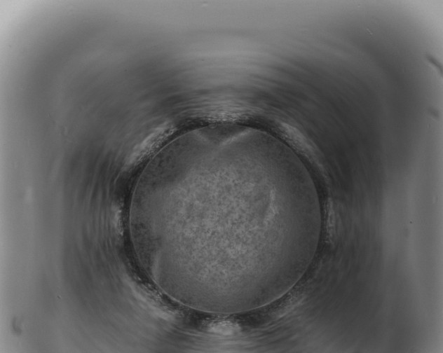 X0000103250258200809041115
