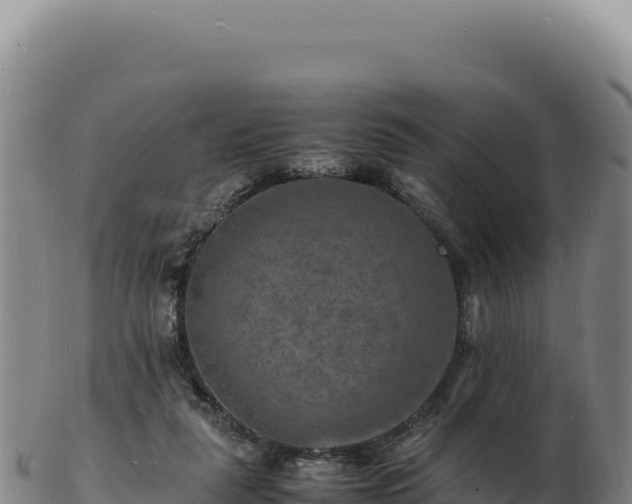X0000103250259200809041115