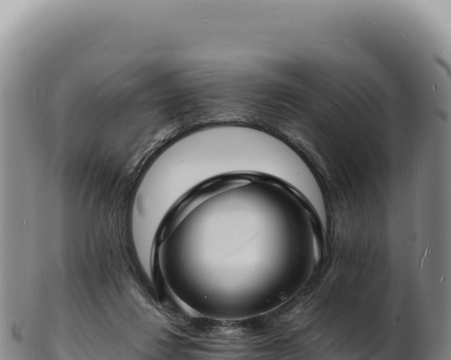 X0000103250260200809041115