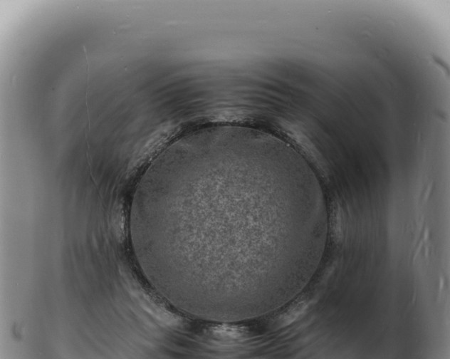 X0000103250261200809041115