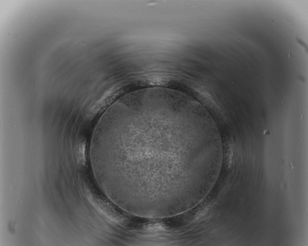 X0000103250262200809041115