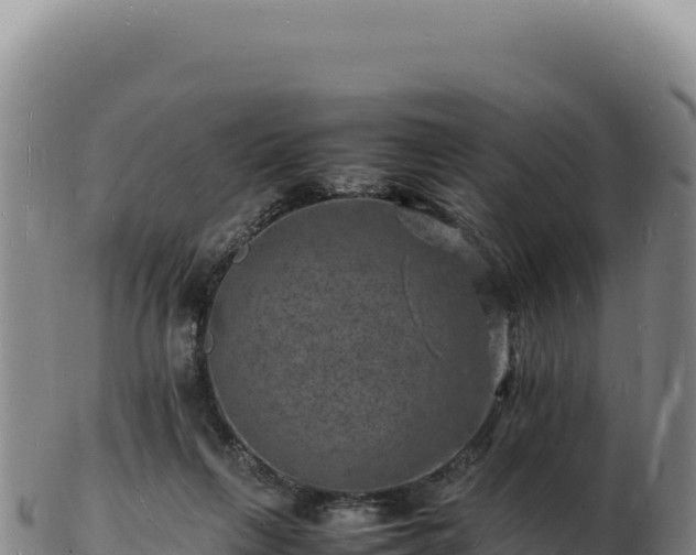 X0000103250263200809041115