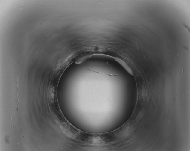X0000103250264200809041115