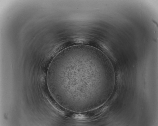 X0000103250265200809041115