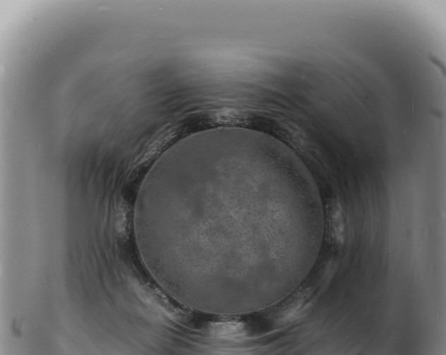 X0000103250266200809041115