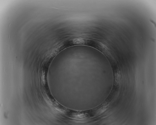 X0000103250267200809041115