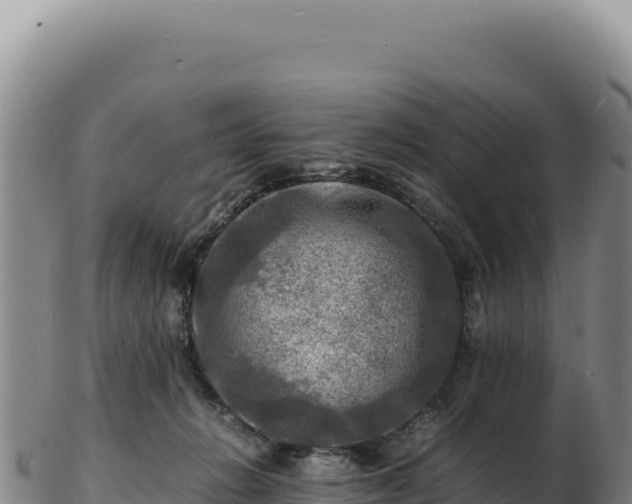 X0000103250270200809041115