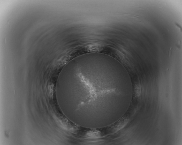 X0000103250271200809041115