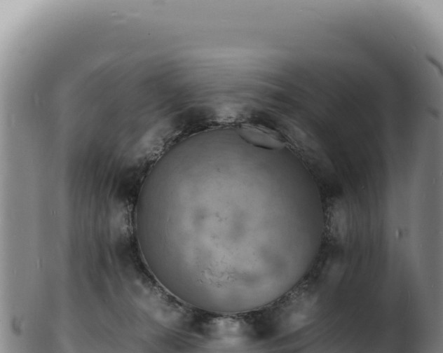 X0000103250272200809041115