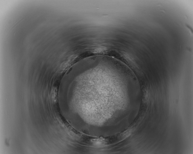 X0000103250273200809041115
