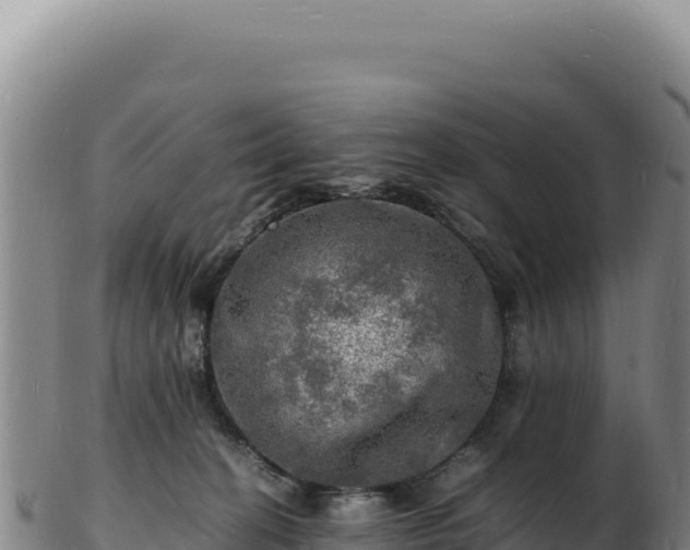 X0000103250274200809041115