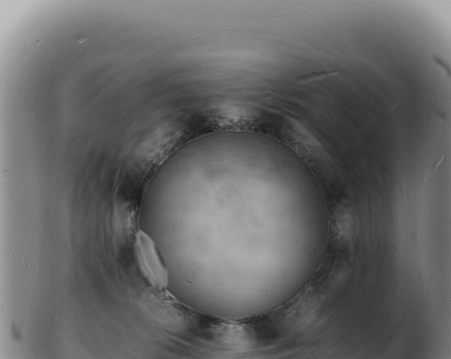 X0000103250276200809041115
