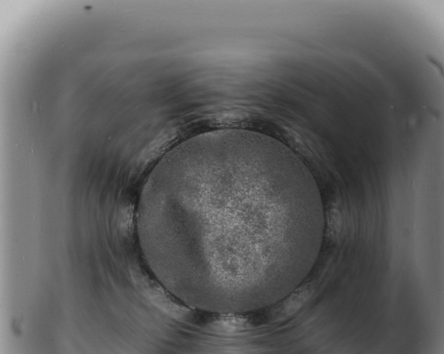 X0000103250278200809041115