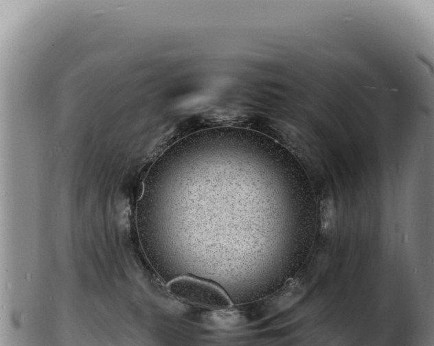 X0000103250279200809041115