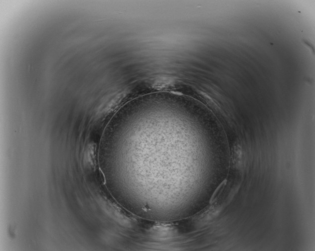 X0000103250280200809041115